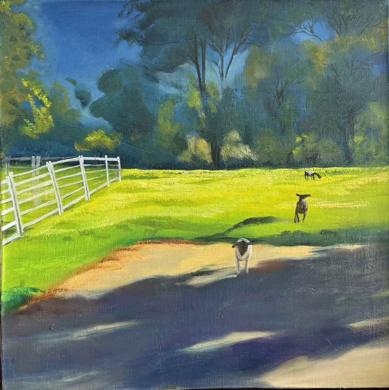Three Lambs Running Toward Me